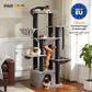 PAWZ Road [MADE IN EU] 170cm | MEGA Kratzbaum | 6972731006979