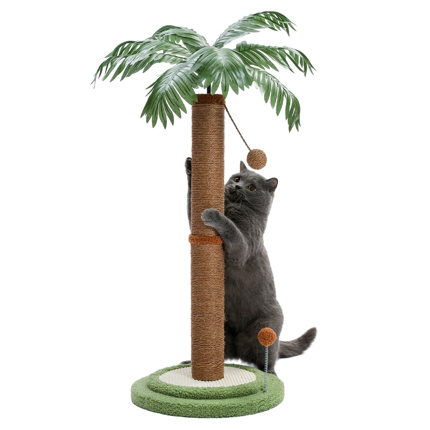 PAWZ Road Árbol para Gatos, 33 pulgadas (84 cm) de altura | Adecuado para gatos grandes | Con pelotas de juego interactivas | Poste rascador cubierto de 100% sisal