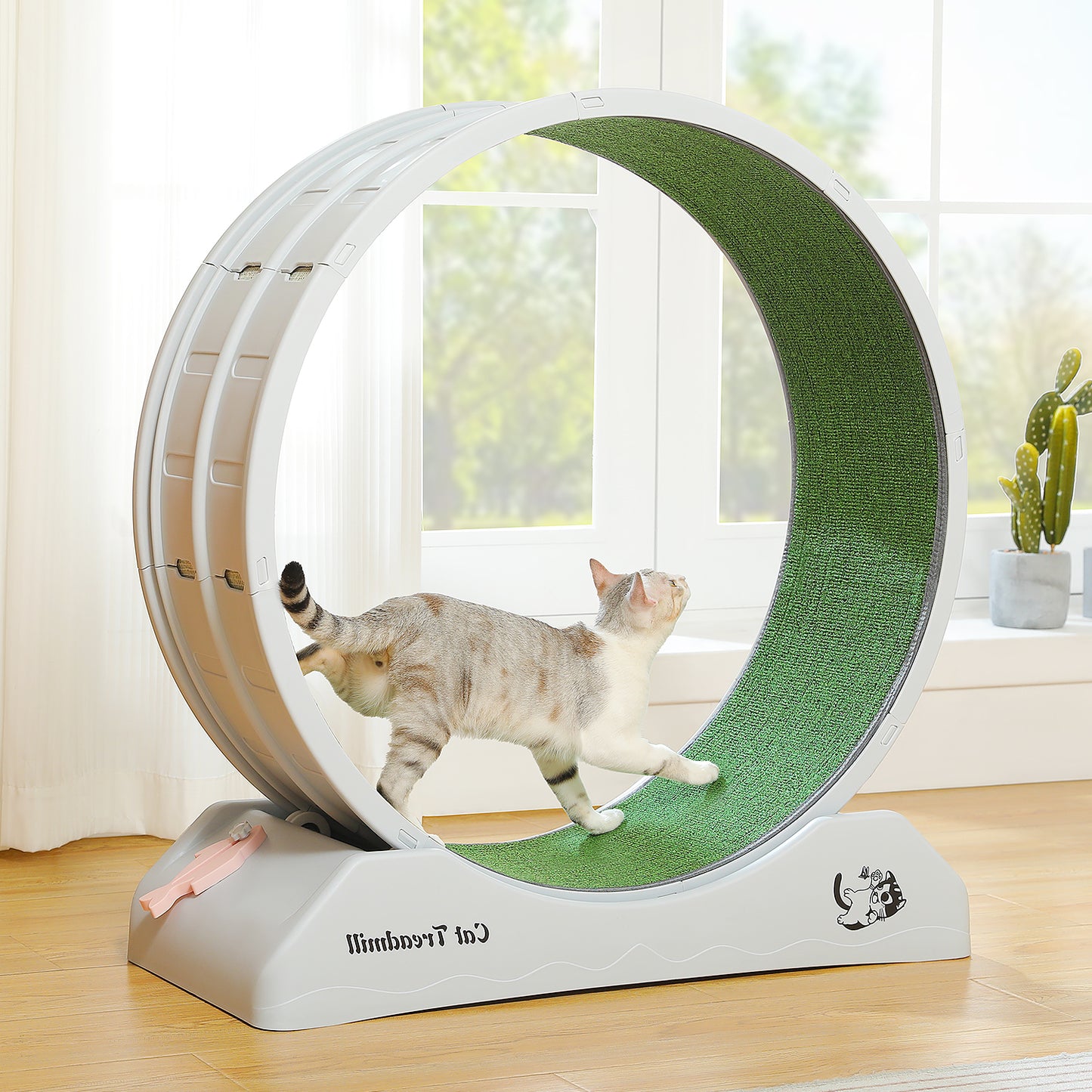 PAWZ Road - Ruota per esercizi silenziosa per gatti | Ampio diametro di 75 cm | Superficie antiscivolo e levigata | Compensazione dell'attività fisica per gatti | Facile da montare