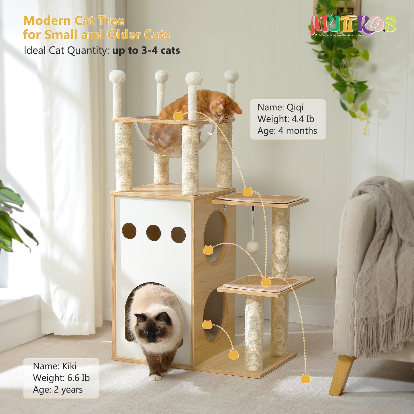 90% increased stability: Modern Cat Tree｜23.6" solid wooden board + 2 anti-slip pads｜67×34cm large space (load capacity 45lb/4 cats)