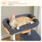 PAWZ Road 116 cm Katzenbaum mittelgroßer Kratzturm mit 4 Sisal-Kratzpfosten, Metallrahmen großer Hängematte und gemütlichem Schlafhaus, Aktivitätszentrum stabil und robust