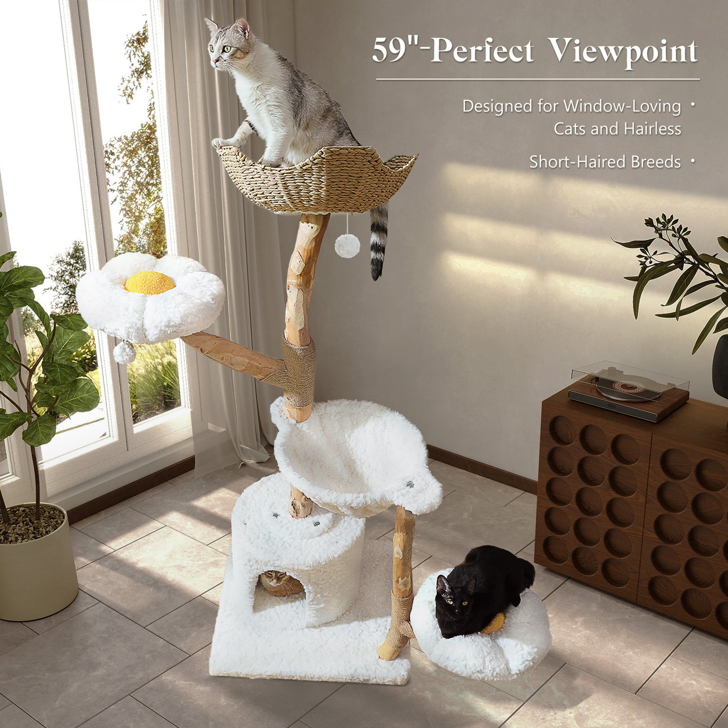 Torre moderna per gatti (per gatti di grossa taglia) con 2 piattaforme a forma di fiore | 150 cm | Tiragraffi naturale in legno massello con veri rami | Lussuoso mobile boho per gatti con cuccia + cestino intrecciato (bianco nuvola)