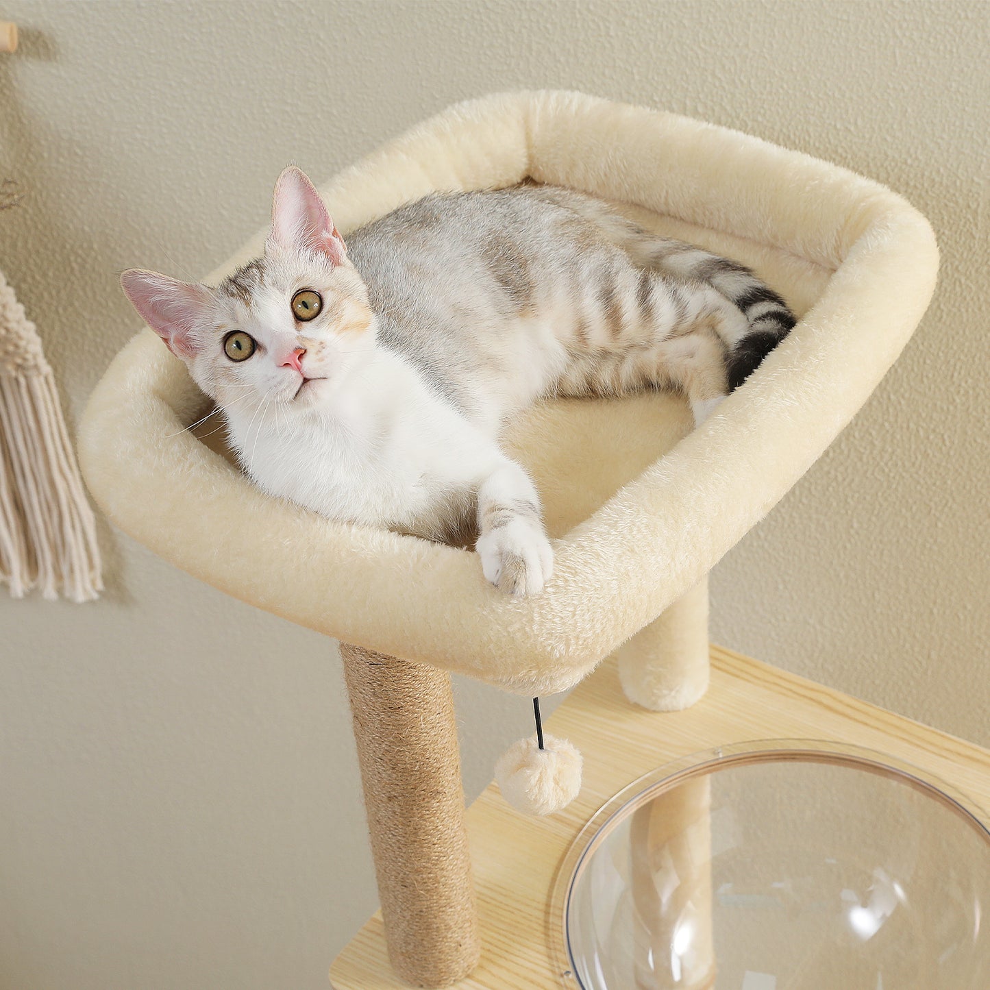 PAWZ Road Rascador Moderno | Torre para Gatos de 135 cm para Apartamentos | Con 4 Columnas de Sisal para Rascar | Casita de Sueño en Forma de Cápsula y Pelotas de Juego