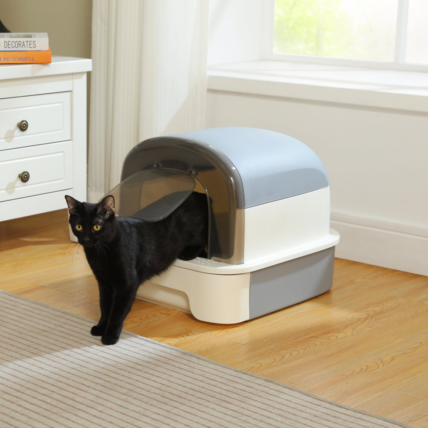 Pawz Road - Lettiera con cassetto | Ampio spazio di 50 cm | Lati rialzati per evitare la dispersione di rifiuti | Semi-chiusa per prevenire gli odori