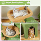 PAWZ Road Indoor Cat Tree | 90 cm Green Scratching Tower | with Spacious Sleeping House | 1 Sisal Level | 3 Scratching Posts | XXL Hammock &amp; Viewing Platform