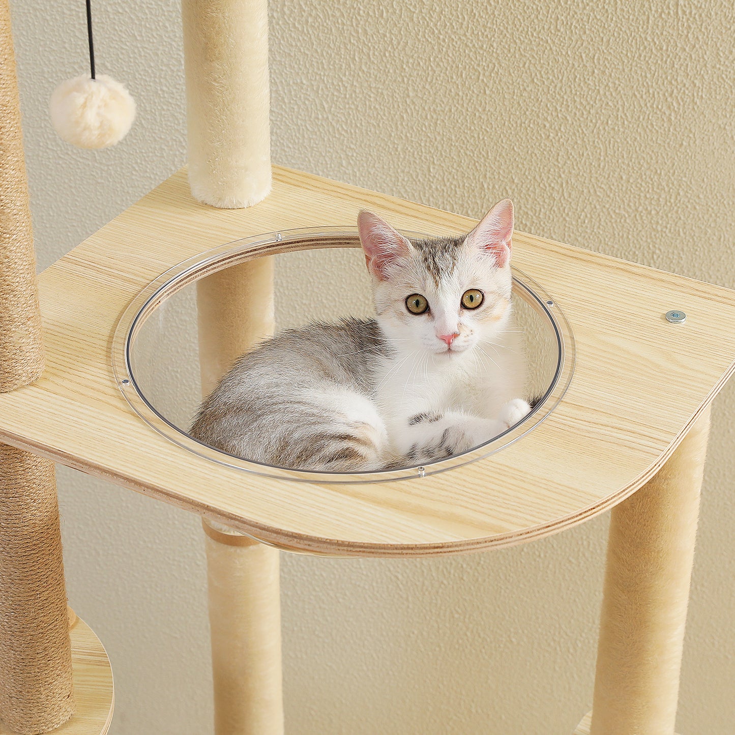 PAWZ Road Rascador Moderno | Torre para Gatos de 135 cm para Apartamentos | Con 4 Columnas de Sisal para Rascar | Casita de Sueño en Forma de Cápsula y Pelotas de Juego