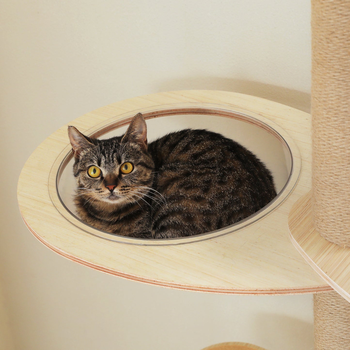 PAWZ Road Kratzbaum | Boden-Decken-Höhenverstellung | Mit XXL-Kratzpfosten (10,4 cm) & Acryl-Versteck