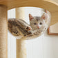 PAWZ Road Großer Katzenbaum 180 cm – Holz-Kratzturm mit Acryl-Kugelnestern | Kratzsäulen & XL-Schlafplattform für große Katzen