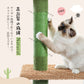 PAWZ Road Kaktus-Katzenkratzbaum | Deckenstütz-System | Höhenverstellbar (241-274 cm) | Mit Sisal-Kratzsäulen | Ideal für Großkatzen