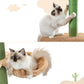PAWZ Road Kaktus-Katzenkratzbaum | Deckenstütz-System | Höhenverstellbar (241-274 cm) | Mit Sisal-Kratzsäulen | Ideal für Großkatzen