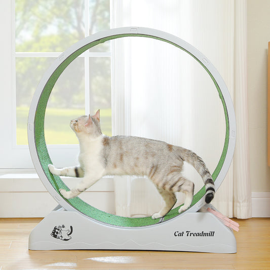 PAWZ Road - Ruota per esercizi silenziosa per gatti | Ampio diametro di 75 cm | Superficie antiscivolo e levigata | Compensazione dell'attività fisica per gatti | Facile da montare