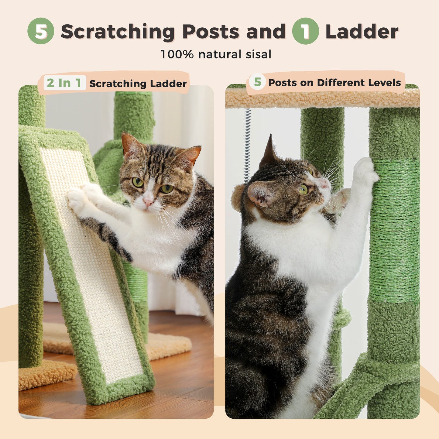PAWZ Road Cactus Cat Tree – Ceiling-high scratching post with adjustable height (215-285 cm) | 7-tier climbing center | with hammocks | 5 platforms | sisal scratching posts
