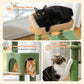 « Ensemble de protection Kippschutz » PAWZ Road Arbre à chats - Hamac métallique + Plates-formes multi-niveaux｜Base XXL 50×43cm (pour 2-3 chats)