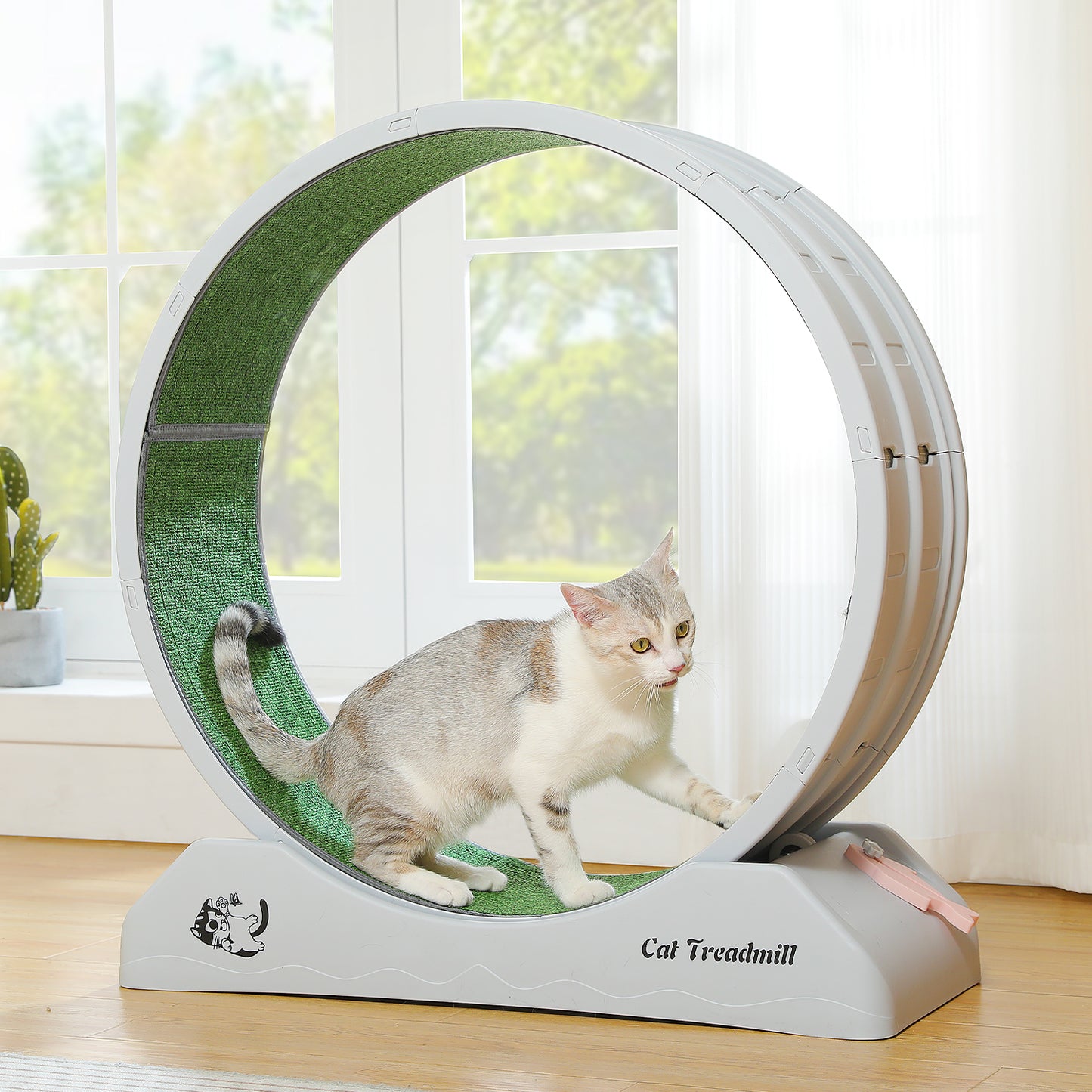 PAWZ Road - Ruota per esercizi silenziosa per gatti | Ampio diametro di 75 cm | Superficie antiscivolo e levigata | Compensazione dell'attività fisica per gatti | Facile da montare