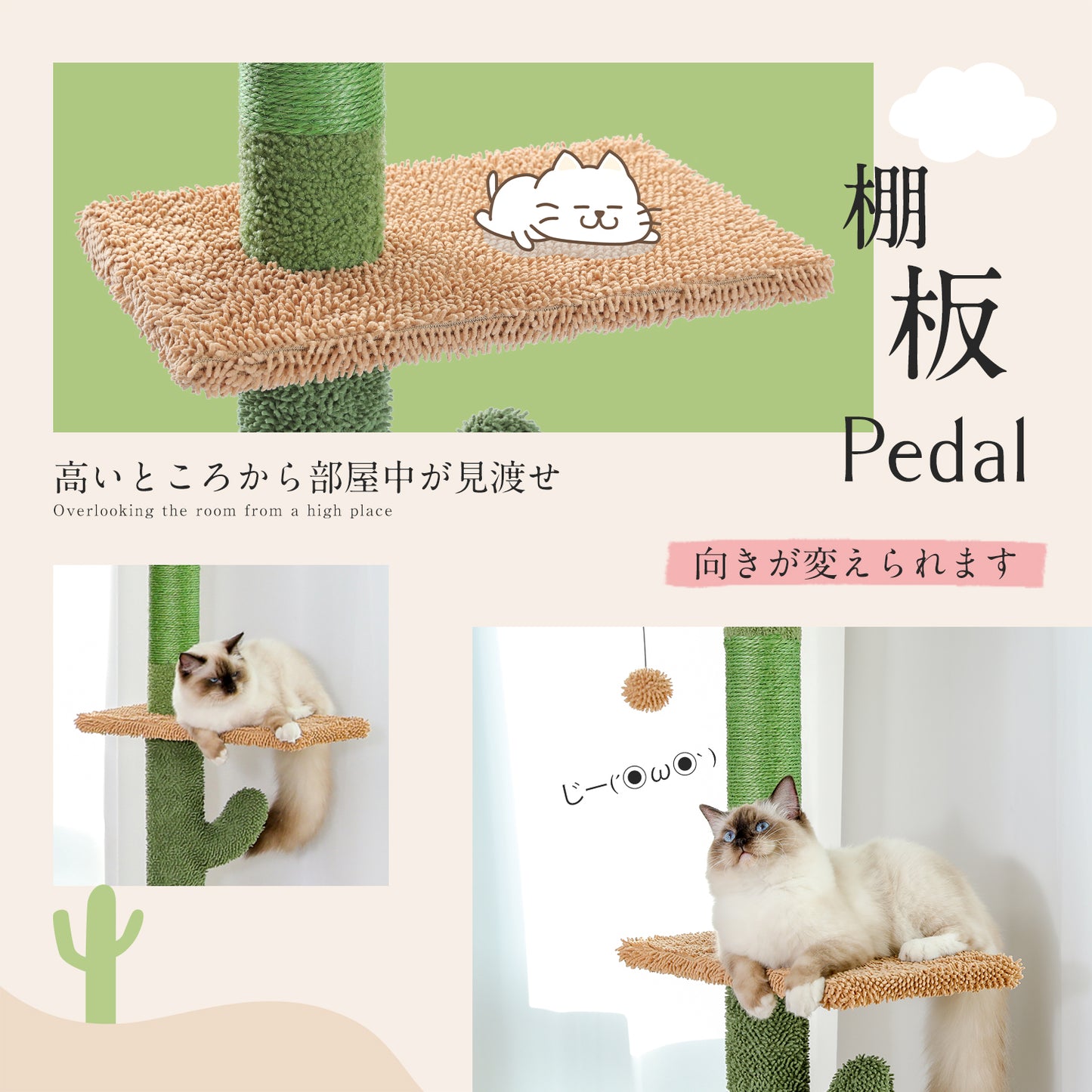 PAWZ Road Kaktus-Katzenkratzbaum | Deckenstütz-System | Höhenverstellbar (241-274 cm) | Mit Sisal-Kratzsäulen | Ideal für Großkatzen