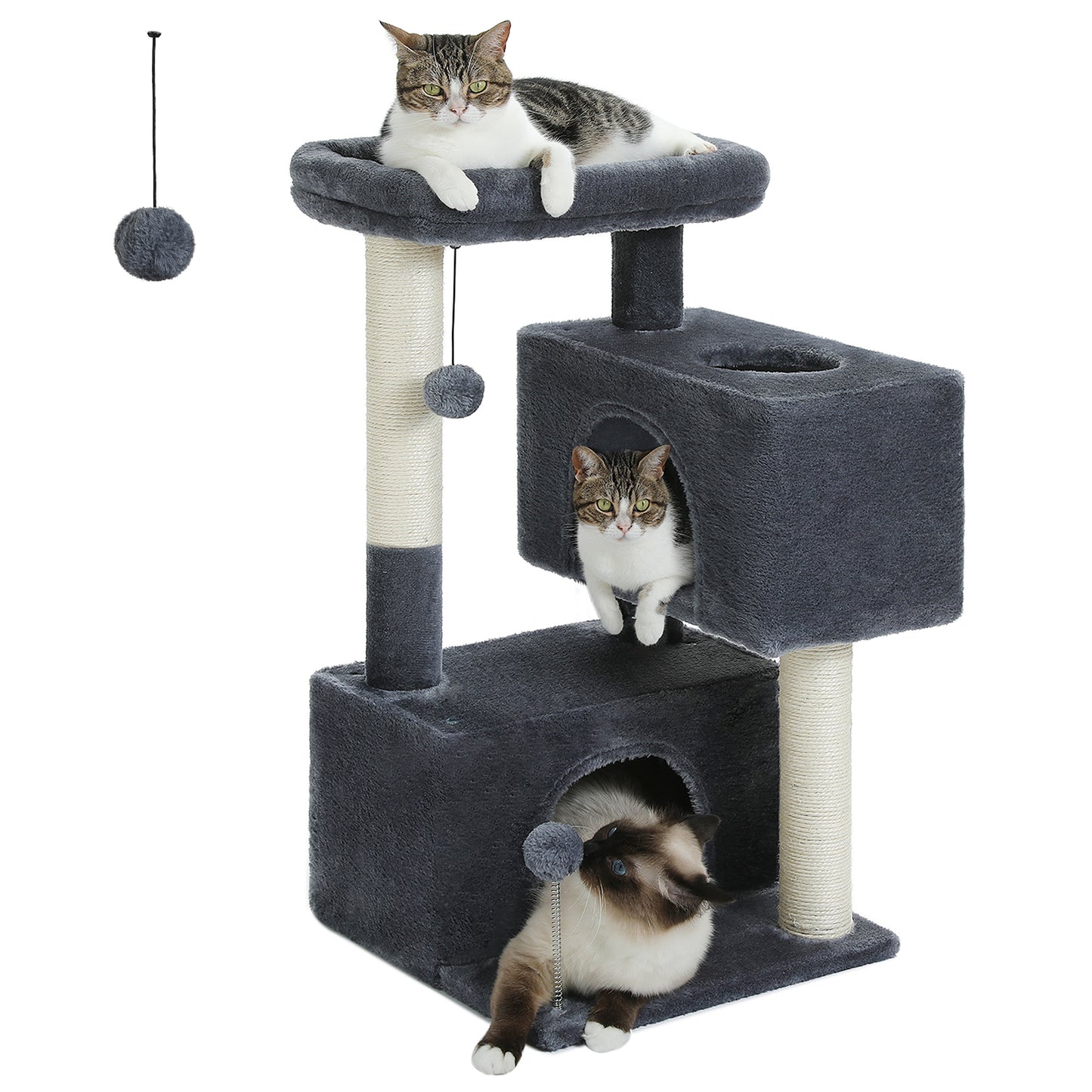 PAWZ Road Árbol para gatos domésticos de 80 cm – con 2 casas para dormir | columnas de rascado de sisal de varios niveles | superficie de descanso acolchada | incluye 2 juguetes