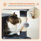 PAWZ Road Premium-Rascador | Árbol para gatos con hamaca XXL | Altura total 136 cm | Ideal para hogares con múltiples gatos