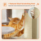 PAWZ Road Premium-Rascador | Árbol para gatos con hamaca XXL | Altura total 136 cm | Ideal para hogares con múltiples gatos