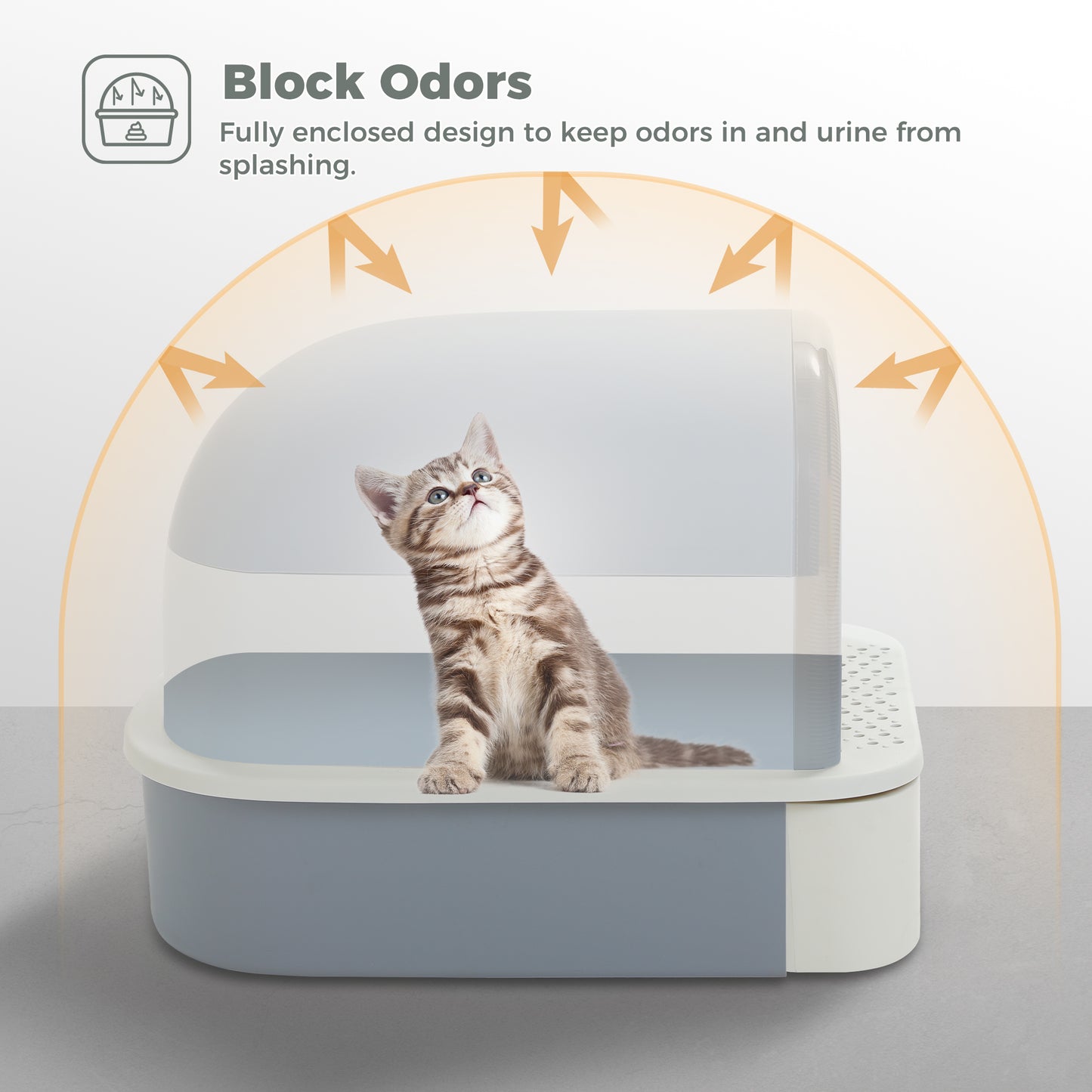 Pawz Road - Lettiera con cassetto | Ampio spazio di 50 cm | Lati rialzati per evitare la dispersione di rifiuti | Semi-chiusa per prevenire gli odori