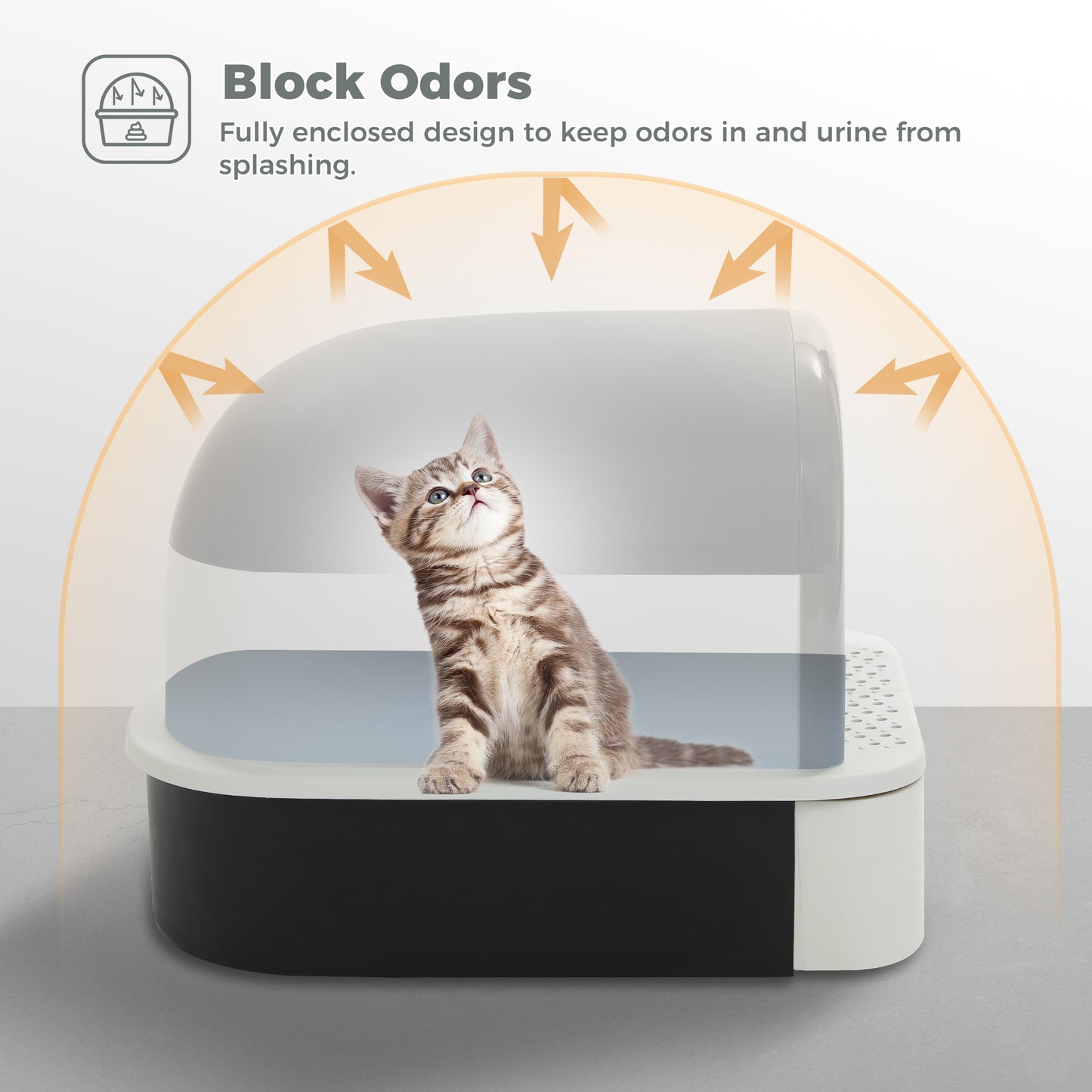 Pawz Road - Lettiera con cassetto | Ampio spazio di 50 cm | Lati rialzati per evitare la dispersione di rifiuti | Semi-chiusa per prevenire gli odori