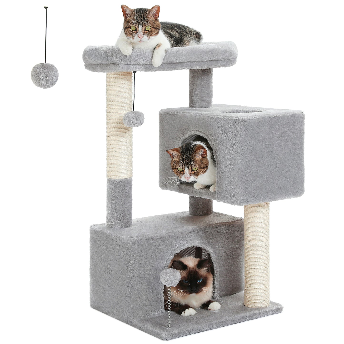 PAWZ Road Árbol para gatos domésticos de 80 cm – con 2 casas para dormir | columnas de rascado de sisal de varios niveles | superficie de descanso acolchada | incluye 2 juguetes