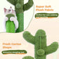 Tiragraffi per gatti PAWZ Road Cactus - Taglia M-53 cm｜L-68,5 cm | Design antiscivolo (capacità di carico 20 kg/4 gatti)