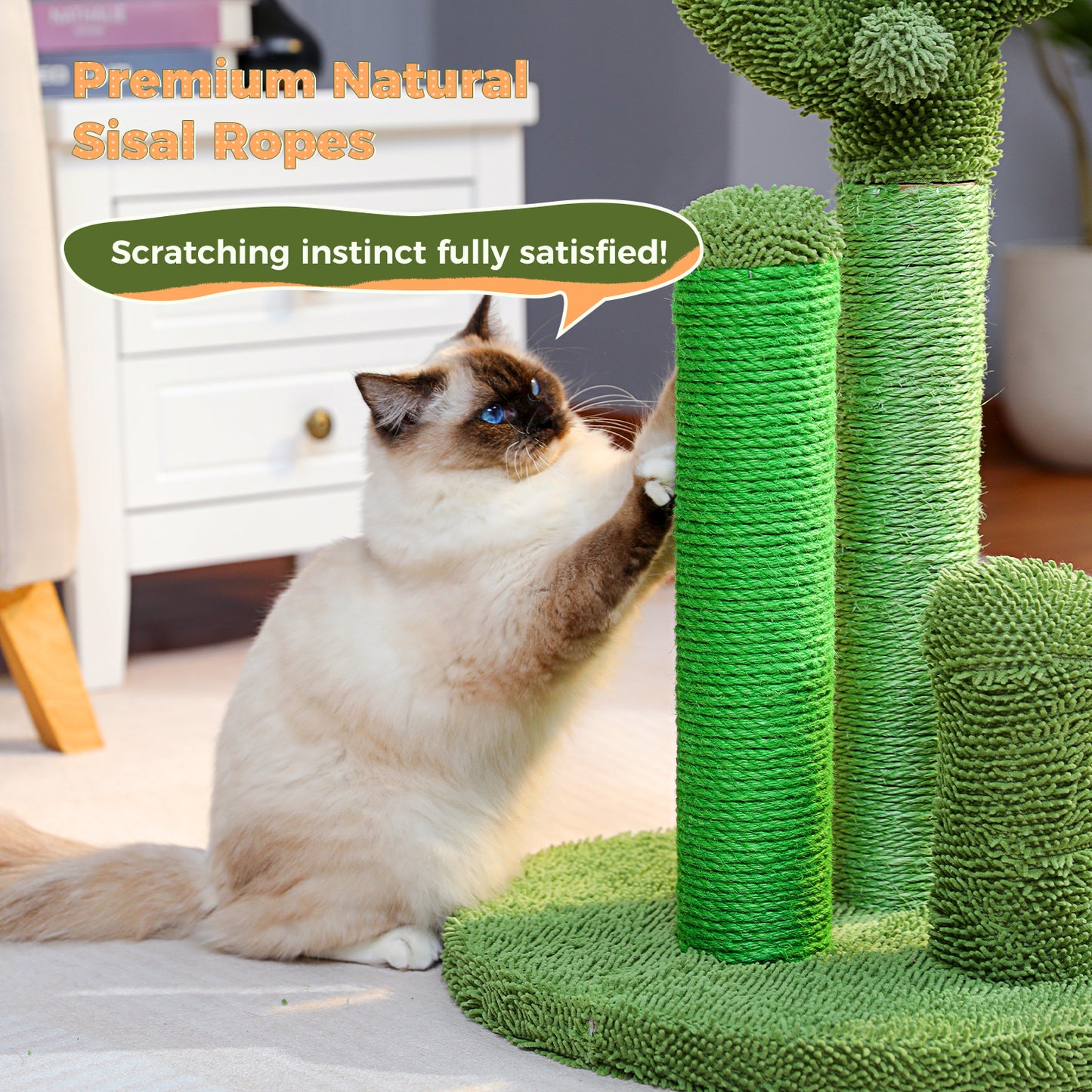 Tiragraffi per gatti PAWZ Road Cactus - Taglia M-53 cm｜L-68,5 cm | Design antiscivolo (capacità di carico 20 kg/4 gatti)