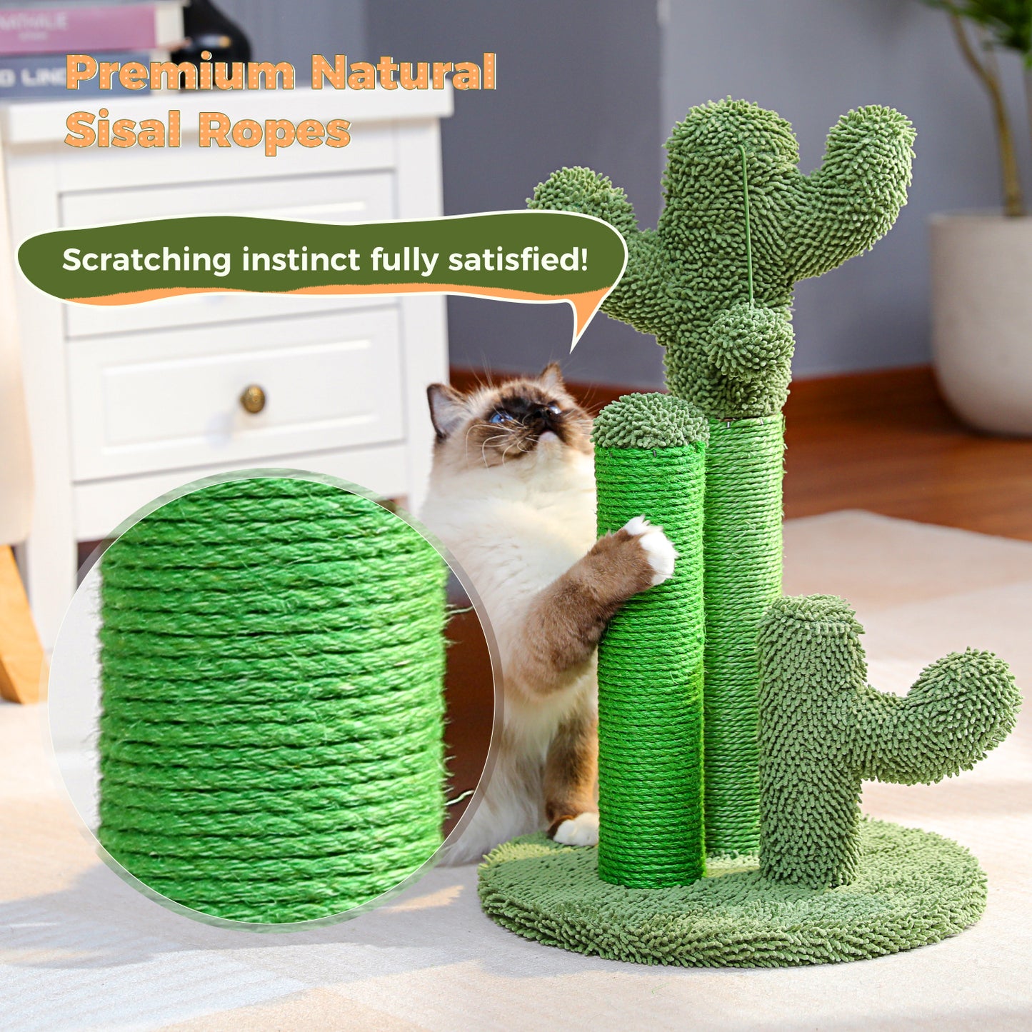 Tiragraffi per gatti PAWZ Road Cactus - Taglia M-53 cm｜L-68,5 cm | Design antiscivolo (capacità di carico 20 kg/4 gatti)