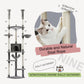 PAWZ Road- Spaceship Hammock Cat Tree - Acrylic Transparent Nest + Rotating Round Lounger｜Sisal Posts + Anti-Tip Straps