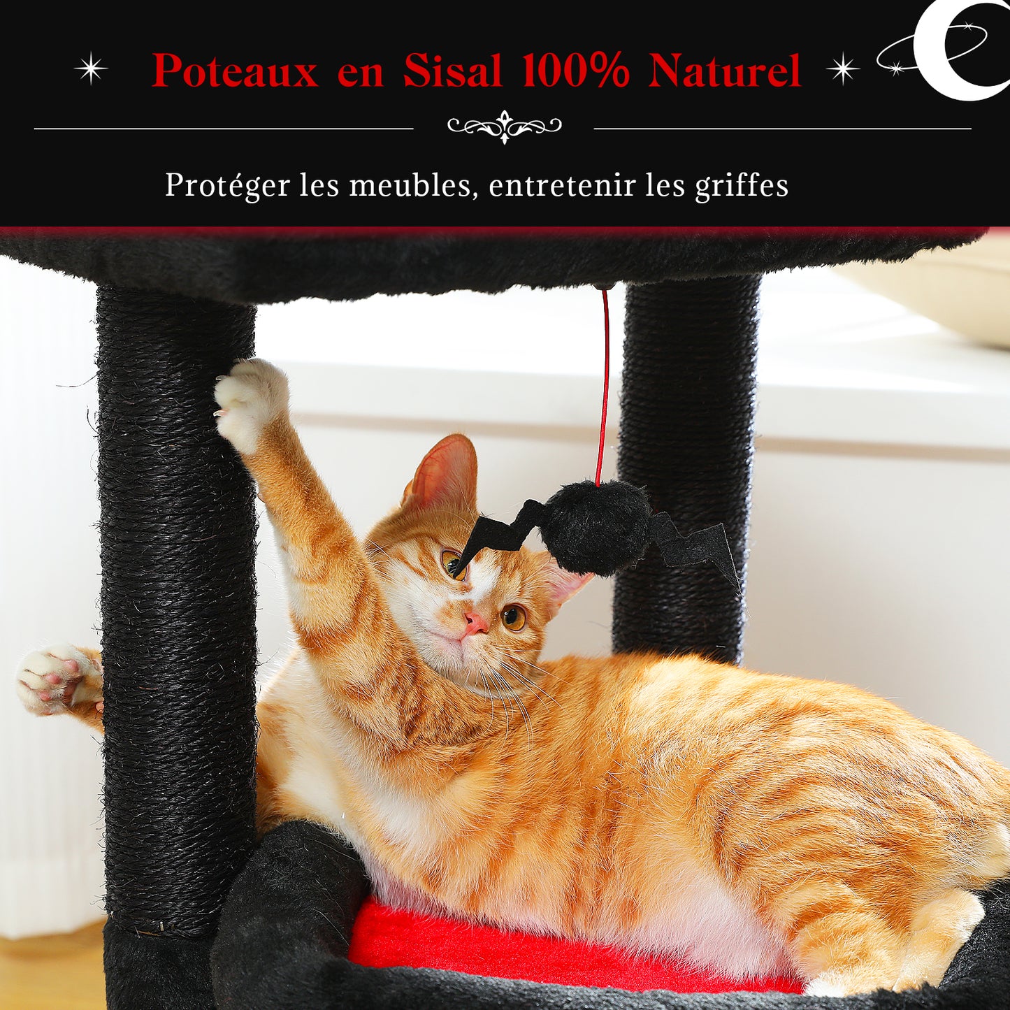 Tiragraffi moderno a più livelli | Altezza 60 cm (23,6 pollici) | Piattaforme in morbido peluche + robusti tiragraffi | Design salvaspazio | Per gattini e gatti adulti