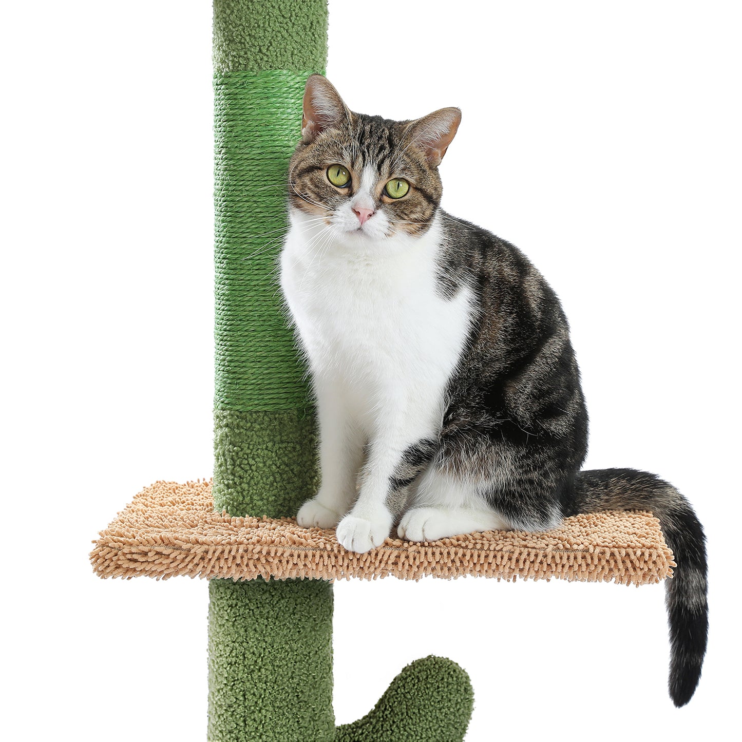 PAWZ Road Kaktus-Katzenkratzbaum | Deckenstütz-System | Höhenverstellbar (241-274 cm) | Mit Sisal-Kratzsäulen | Ideal für Großkatzen