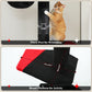 PAWZ Road Kaktus-Katzenkratzbaum | Deckenstütz-System | Höhenverstellbar (241-274 cm) | Mit Sisal-Kratzsäulen | Ideal für Großkatzen