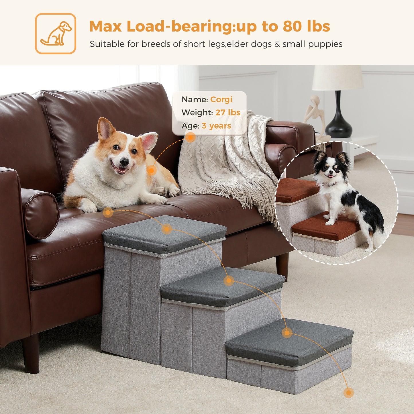 PETEPELA escaleras para perros con 3 compartimentos de almacenamiento – Plegable | escalera de seguridad antideslizante para perros y gatos | 3 niveles