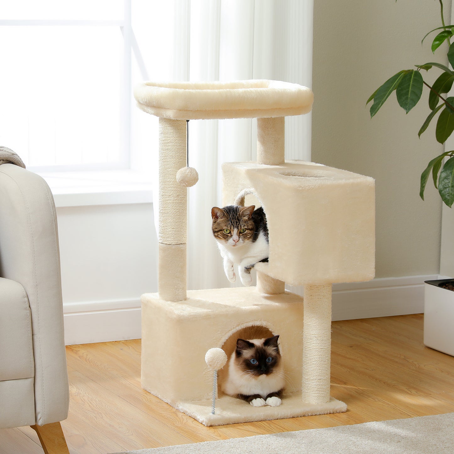 PAWZ Road 80 cm Haushalts-Katzenbaum – mit 2 Schlafhäusern | mehrstöckige Sisal-Kratzsäulen | gepolsterte Liegefläche | inkl. 2 Spielzeugen