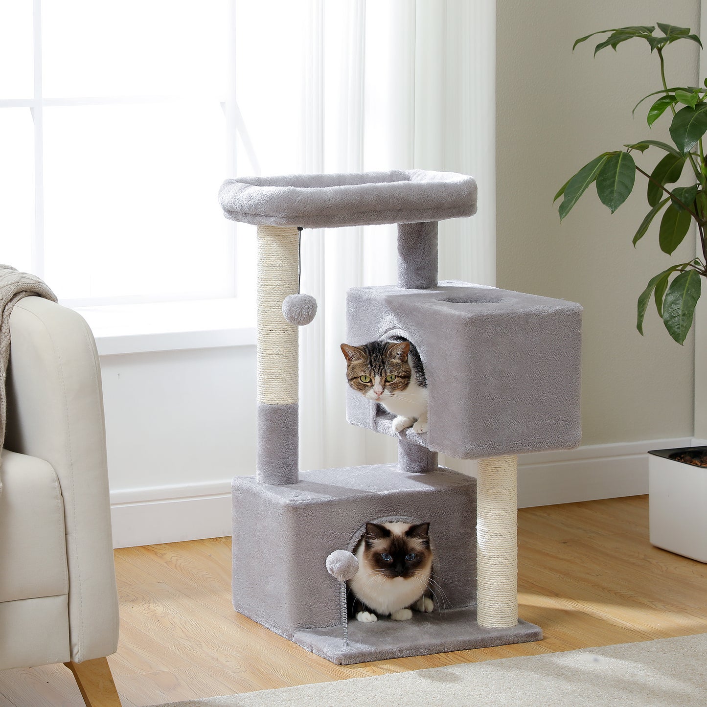 PAWZ Road 80 cm Haushalts-Katzenbaum – mit 2 Schlafhäusern | mehrstöckige Sisal-Kratzsäulen | gepolsterte Liegefläche | inkl. 2 Spielzeugen