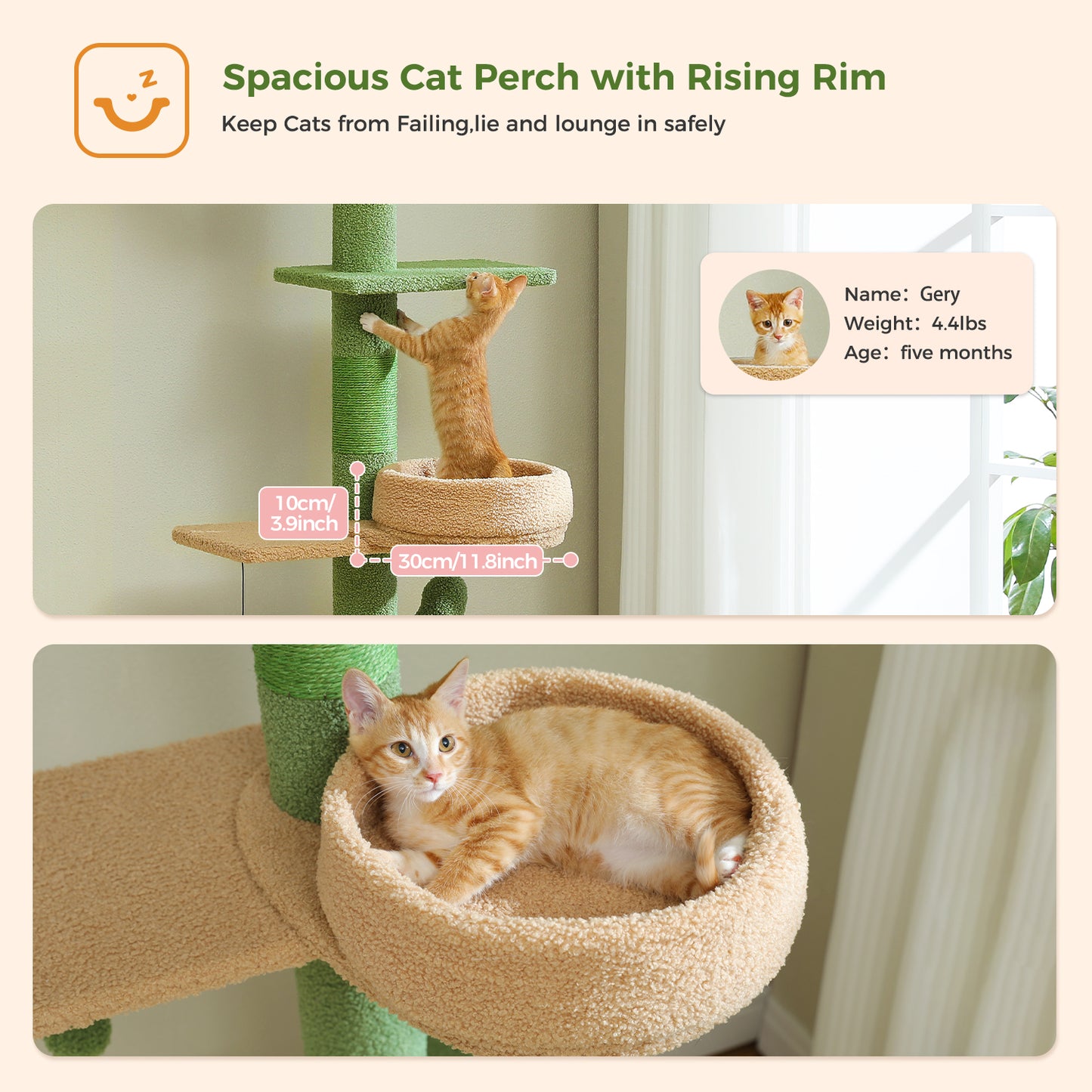 PETEPELA Ceiling-to-Floor Cat Tree | 220-254 cm Height Adjustable