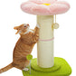 PAWZ Road 60cm Blumen Kratzsäulen (Rosa/Grün)