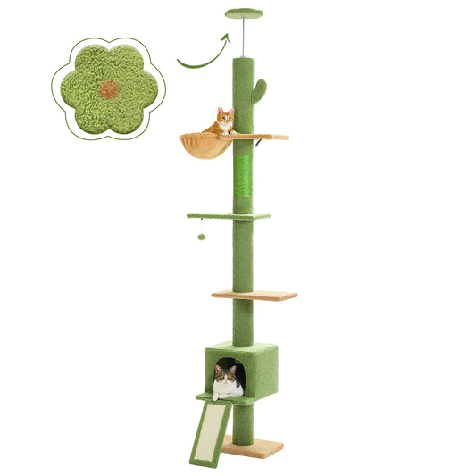 Oferta Principal | Kaktuskratzsaule | 210-274cm