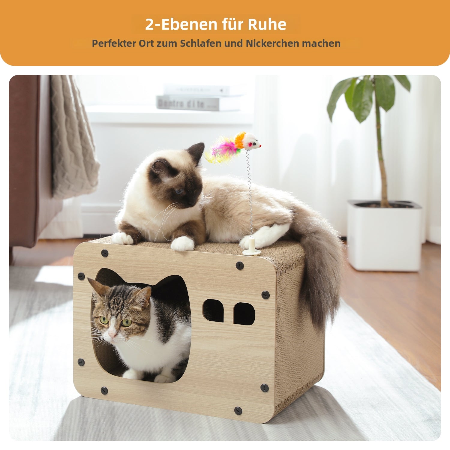 AJQ0075BG PT05