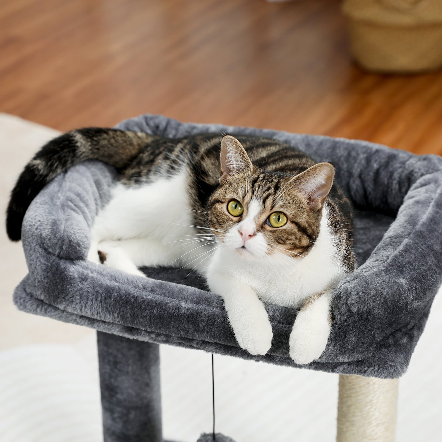 PAWZ Road Kompakter Kratzbaum | 40 cm Länge | Platzwunder für kleine Wohnungen | Stabiler Standfuß