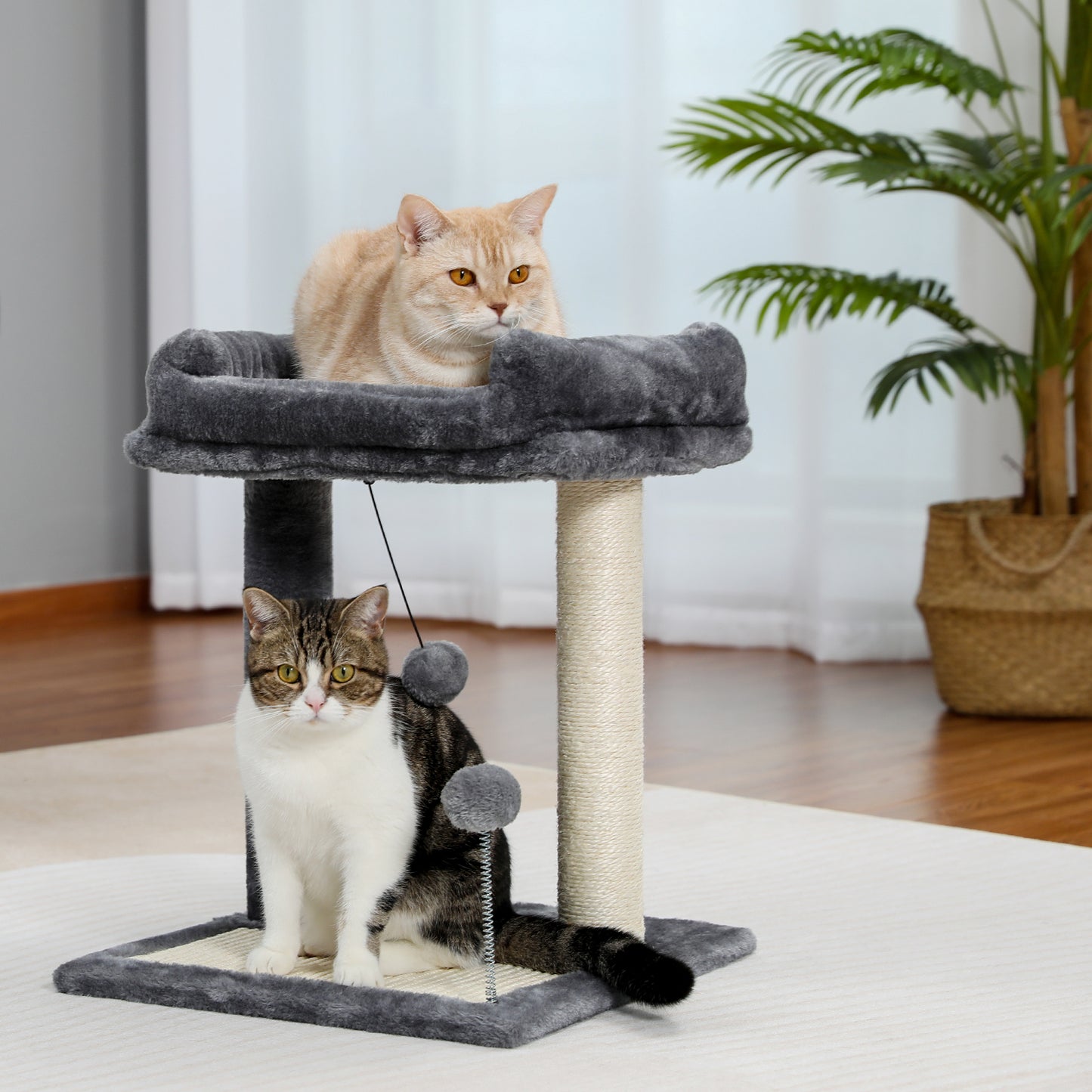 PAWZ Road Kompakter Kratzbaum | 40 cm Länge | Platzwunder für kleine Wohnungen | Stabiler Standfuß